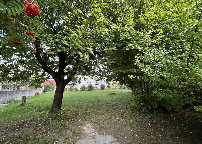 Daire Kelsbachhaus Og Pforring